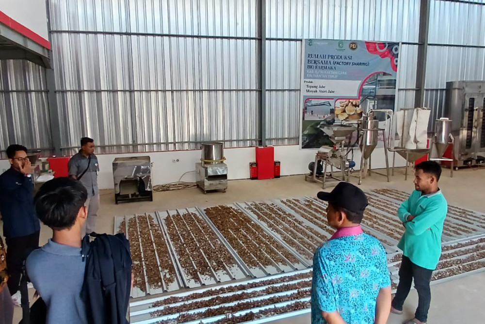  Rumah Produksi Jahe di Kaltim Beroperasi, Tingkatkan Nilai Tambah Petani