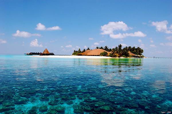  Destinasi Pantai di Dunia yang Wajib Dikunjungi dan Masuk Wish List