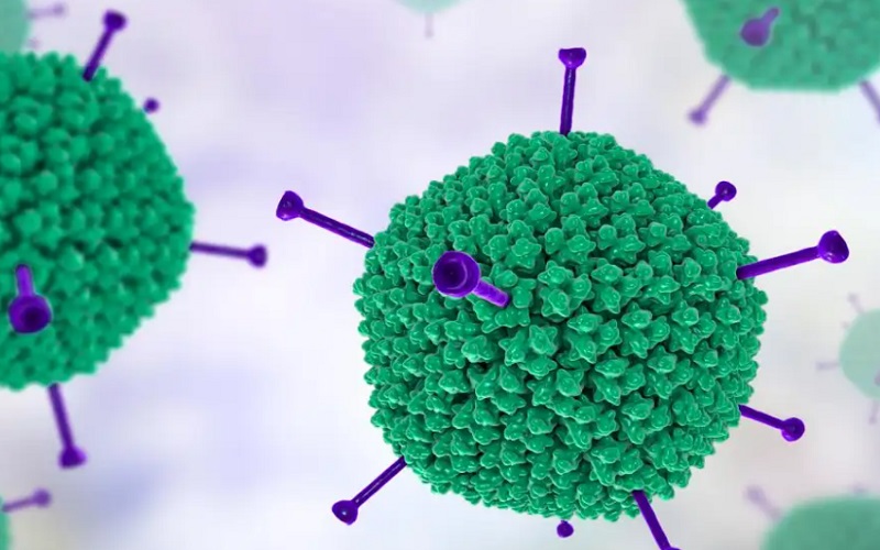  Gejala, Penyebab, dan Pencegahan Adenovirus, Virus yang Kerap Menyerang Anak-anak