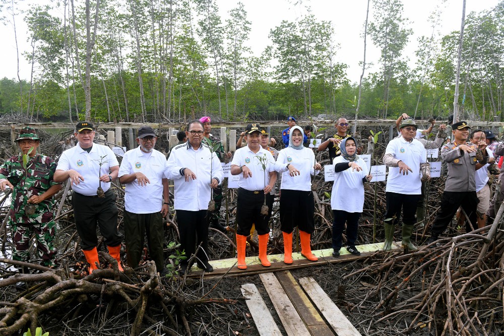  Pulihkan Hutan Mangrove Lubuk Kertang, Pemprov Sumut Tanam 10 Ribu Bibit