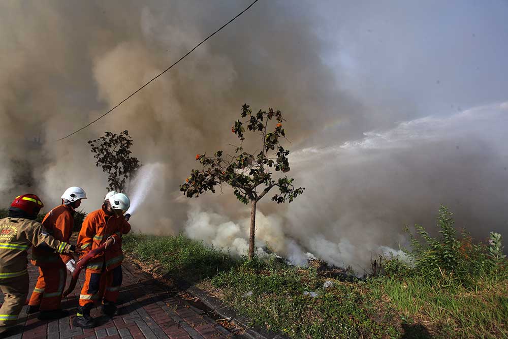  Kebakaran Lahan di Kawasan Puri Sukolilo Selatan Surabaya