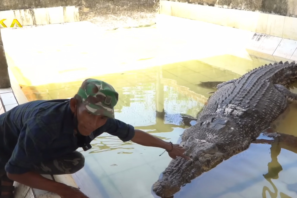  Kaltim Didorong Pengembangan Wisata Buaya Riska