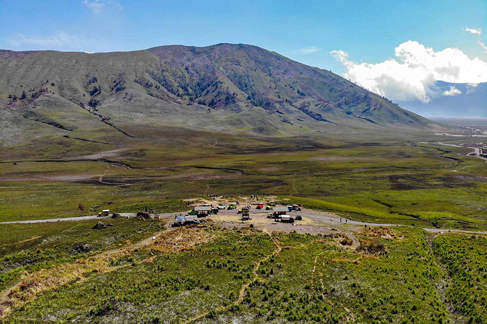  Kawasan Bukit Teletubbies di Gunung Bromo Kembali Menghijau