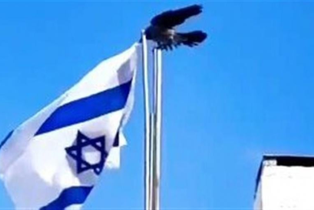  Viral Lagi Video Gagak Jatuhkan Bendera Israel, Apa Artinya?
