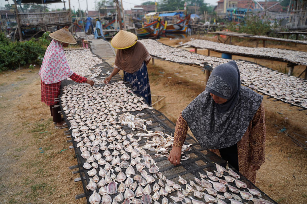  Akhirnya, Nelayan Ikan Asin di Cirebon Rasakan Berkah Kemarau Panjang
