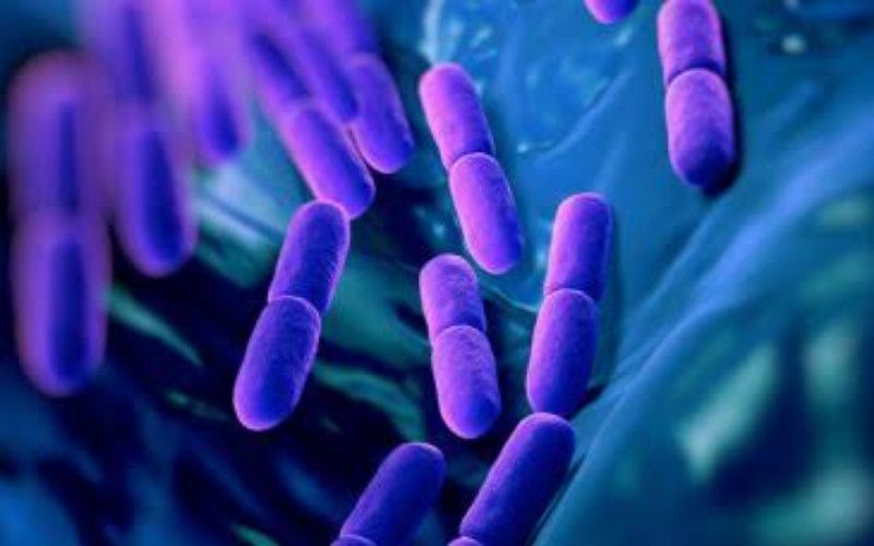  Konsumsi Probiotik Bisa Bantu Turunkan Tekanan Darah Tinggi Lho