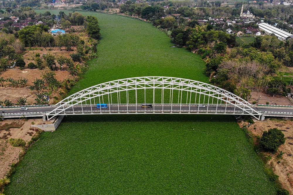  Sungai Bengawan Solo Dipenuhi Tanaman Eceng Gondok