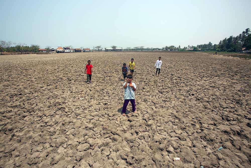  Lahan Sawah di Tangerang Alami Kekeringan Dampak Dari Fenomena El Nino