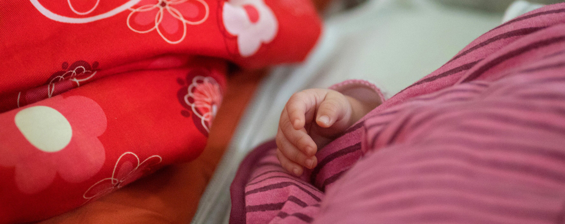  Ramai-Ramai Kejar Baby Dragon, Peluang Cuan dari Program Bayi Tabung