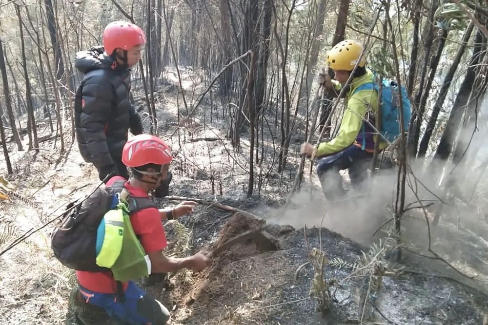  Kebakaran Gunung Kawi di Malang, Begini Penanganannya