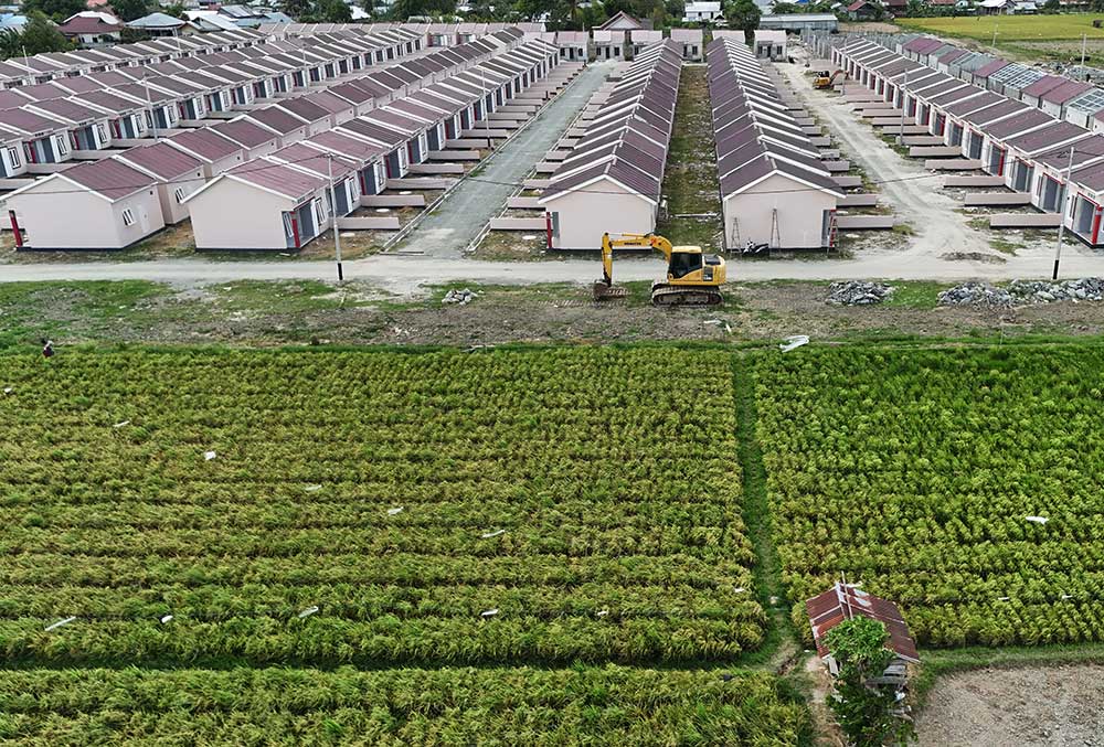  Alih Fungsi Lahan di Indonesia Mencapai 100 Ribu Hektare Per Tahun