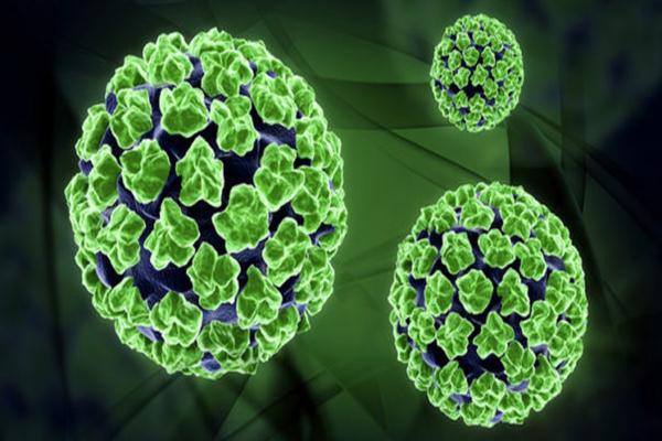  Penularan Virus HPV Melalui Toilet, Dokter: Itu Mitos!