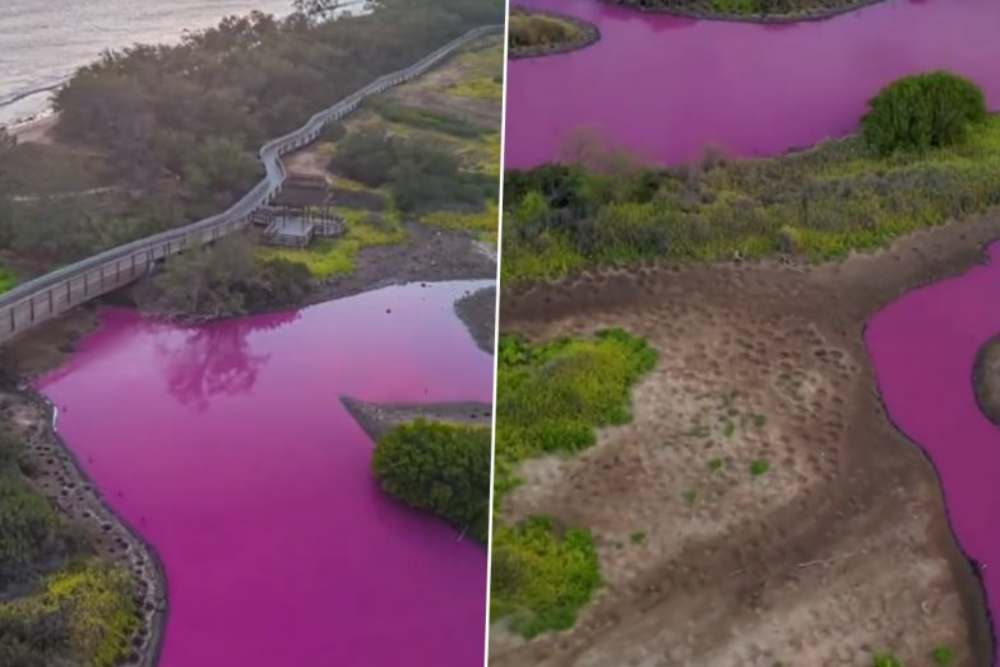  Sungai di Hawaii Berubah Jadi Pink, Fenomena Apa?