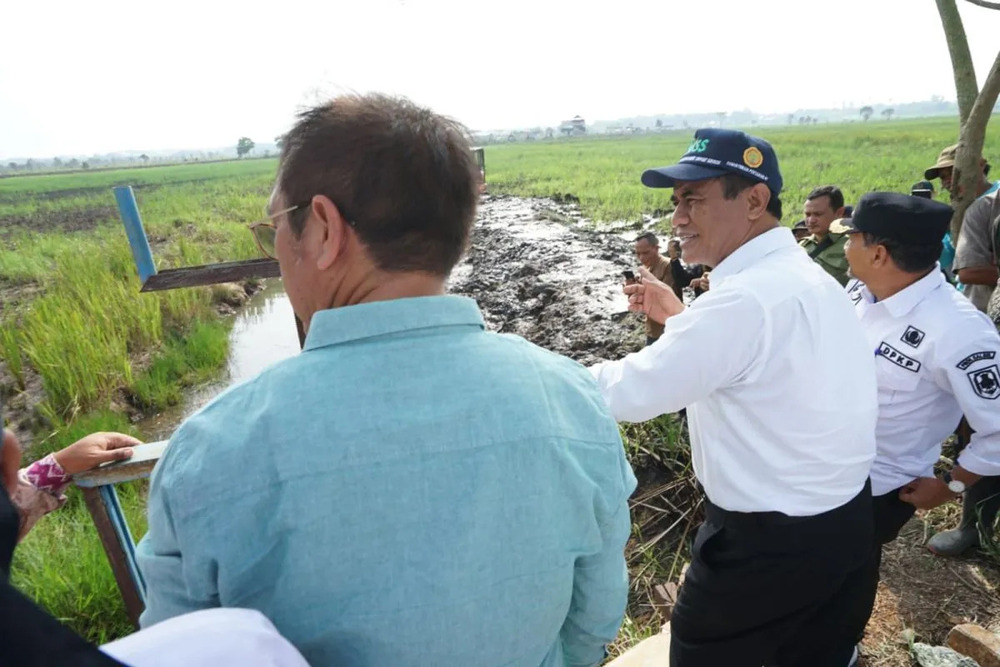  Lahan Rawa 200 Hektare di Kalsel Diproyeksi Dukung Produksi Beras