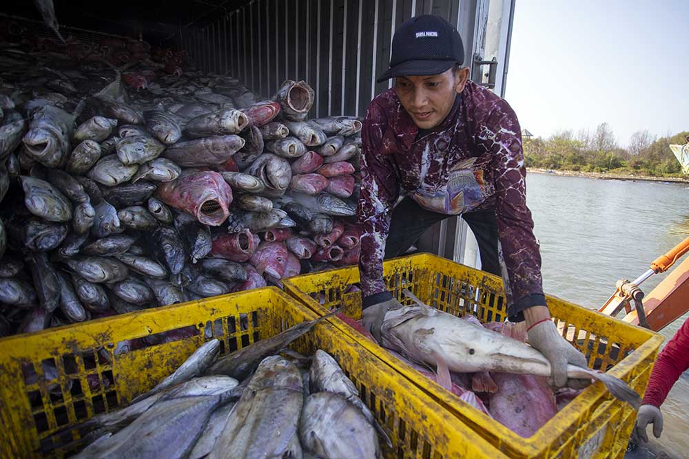  Ekspor Produk Perikanan Indonesia Mencapai US$4,1 Piliar Pada Triwulan III/2023