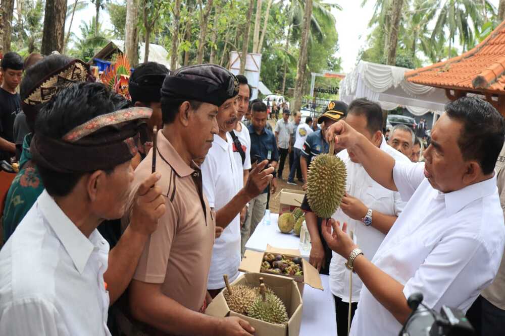  Kelompok Tani Hutan Jembrana Mampu Produksi Buah Berkualitas