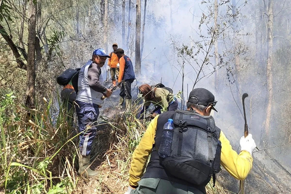  Kebakaran Gunung Panderman, Petugaskan Kesulitan Padamkan Api