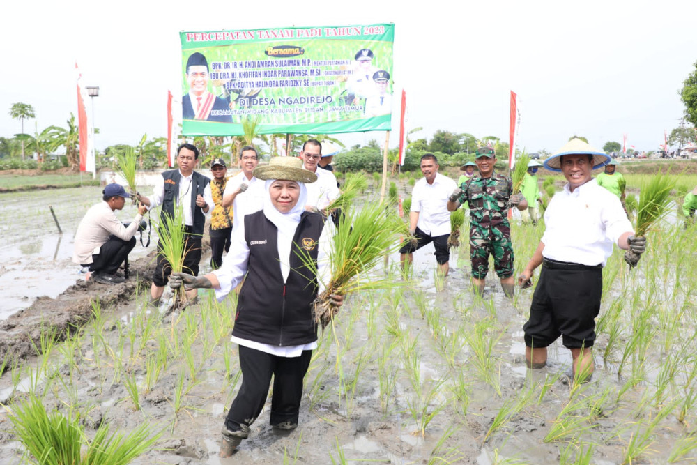  Panen dan Tanam Padi di Tuban, Khofifah Ajak Wujudkan Kedaulatan Pangan Indonesia