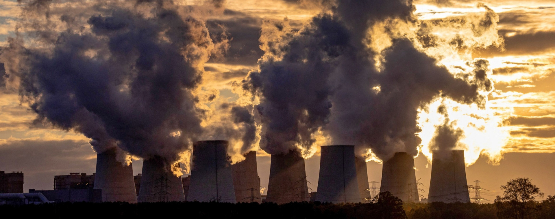  Dorongan Bursa Karbon Global di COP28