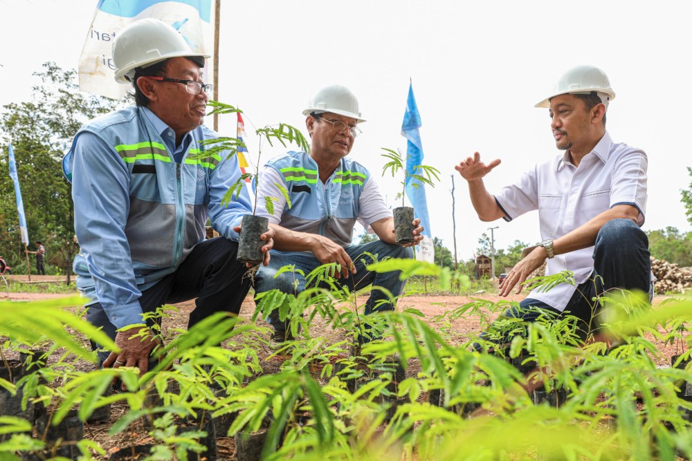 PT Maharaksa Biru Energi Tbk (OASA) aktif mengembangkan energi terbarukan, dengan memanfaatkan biomassa sebagai sumber utamanya.