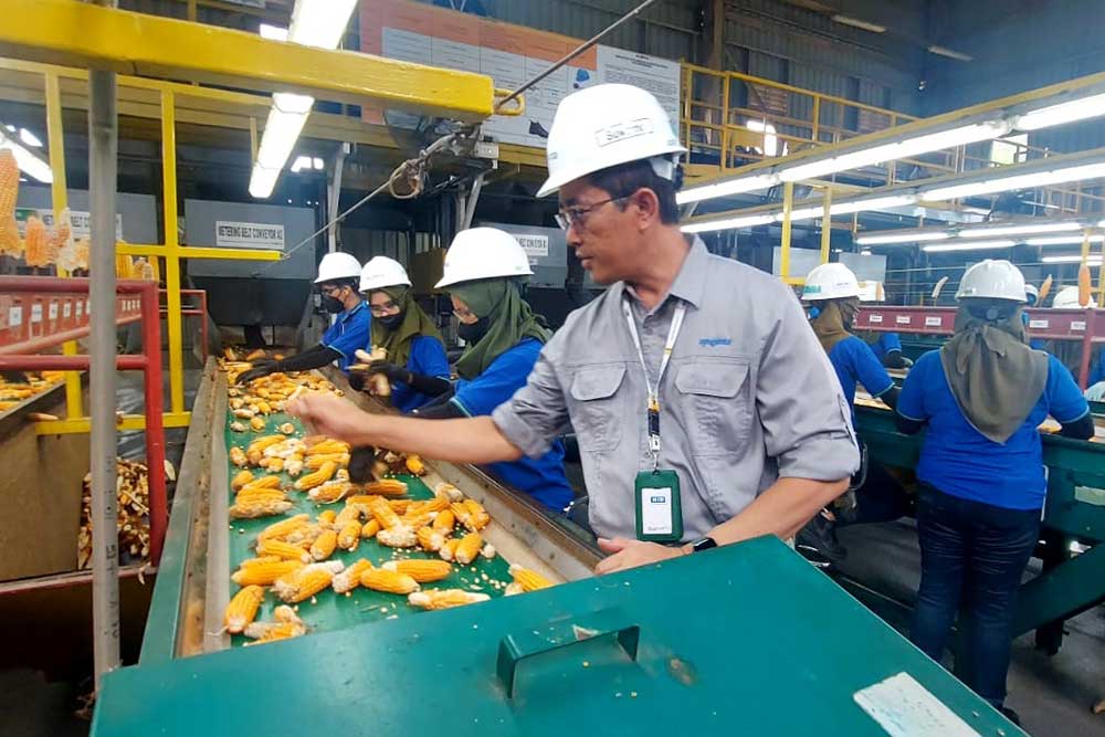  Penyediaan Benih Jagung Unggul