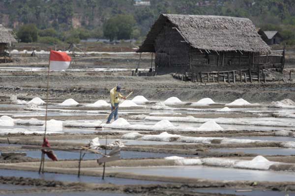  Industri Pengolahan Ditargetkan Serap 736.911 Ton Garam Produksi Lokal