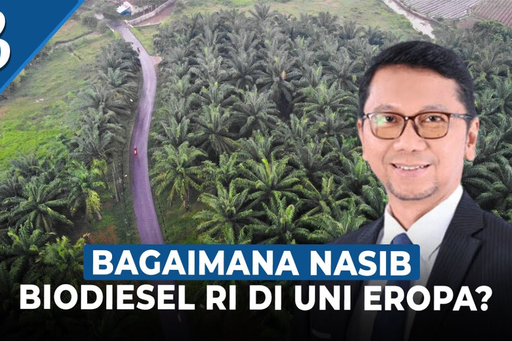  Tantangan Pemerintah Indonesia Hadapi Sengketa Biodiesel di WTO