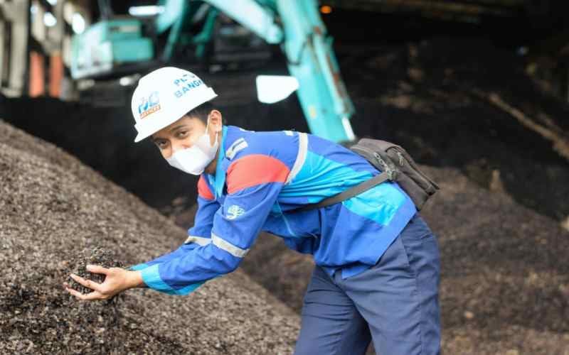  Babak Baru Pengembangan Biomassa di Tengah Upaya Transisi Energi