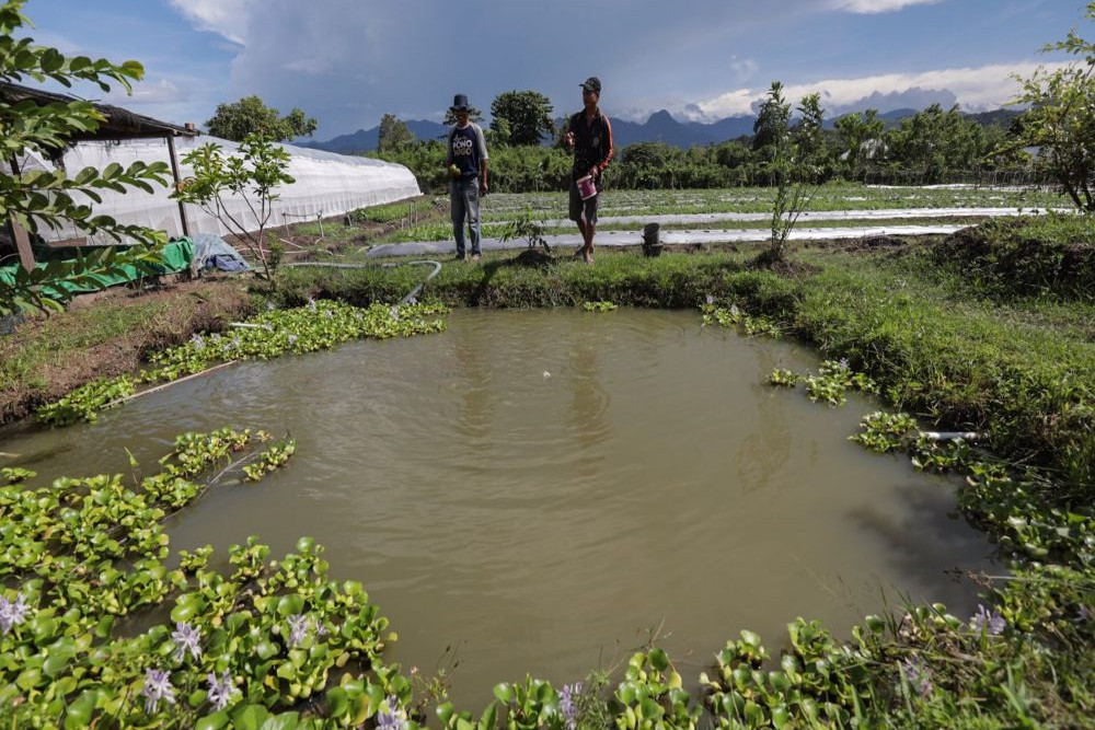  Jelajah EV: Kisah Harita Nickel Terbitkan Harapan Petani Pulau Obi