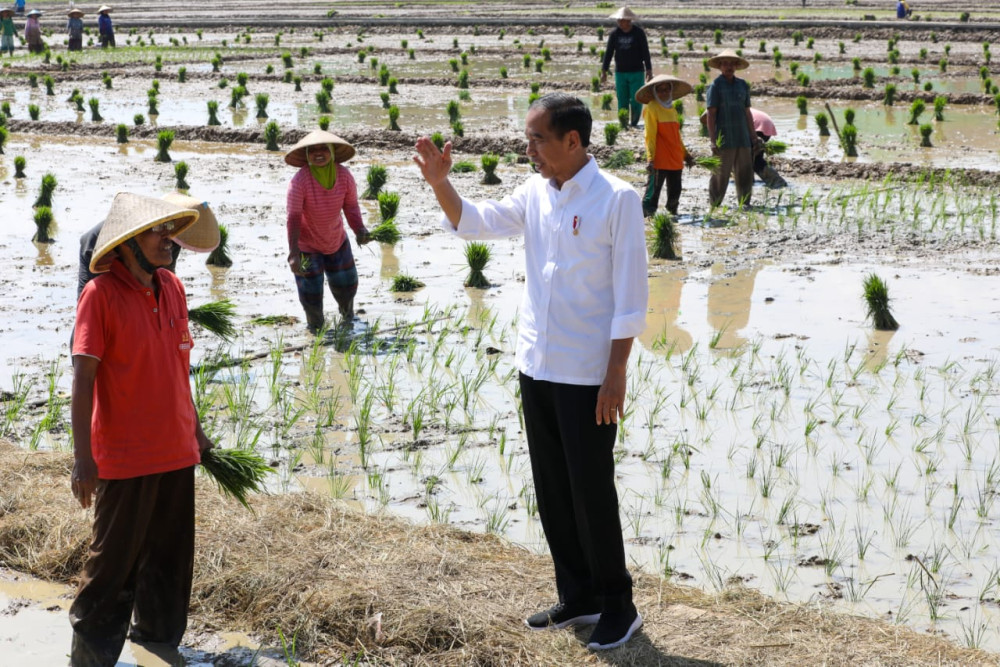  Kunjungi Pekalongan, Jokowi Ajak Petani Mulai Tanam Padi