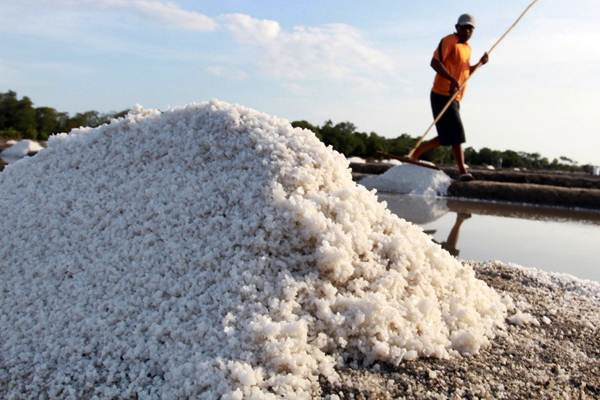  Industry Standards to Achieve Salt Self-Sufficiency