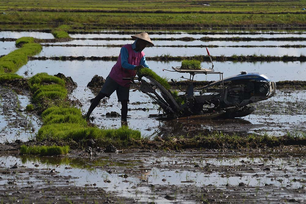  Transformasi Petani Modern