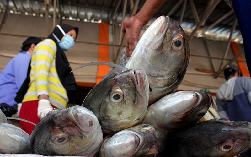 Nelayan menjual ikan hasil tangkapannya di Tempat Pelelangan Ikan (TPI) Paotere, Makassar, Sulawesi Selatan, Senin (20/4/2020)./Jibi