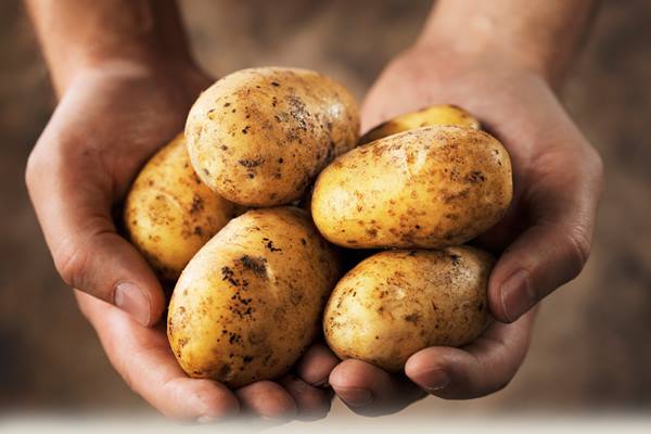  Ini Dia 10 Sayur dan Buah yang Diam-diam Bikin Berat Badan Naik!