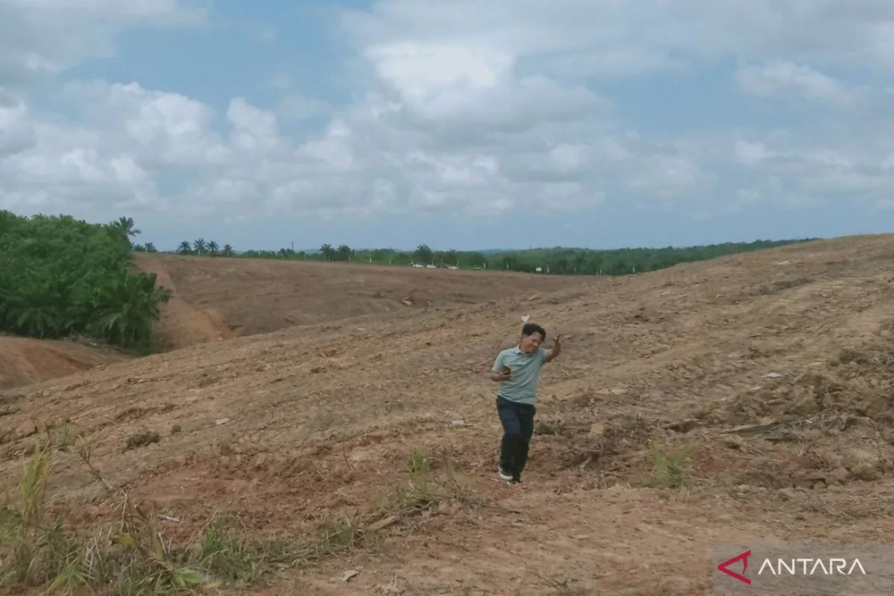 Sebagian lahan lokasi pembangunan Bandara Naratetama di Kabupaten Penajam Paser Utara, Provinsi Kalimantan Timur (Kaltim), sudah dilakukan pembukaan atau pembersihan oleh Bank Tanah siap untuk digunakan./Antara-Nyaman Bagus Purwaniawan.