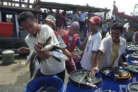  Tangkapan Ikan Nelayan di Lebak Banten Meningkat Drastis