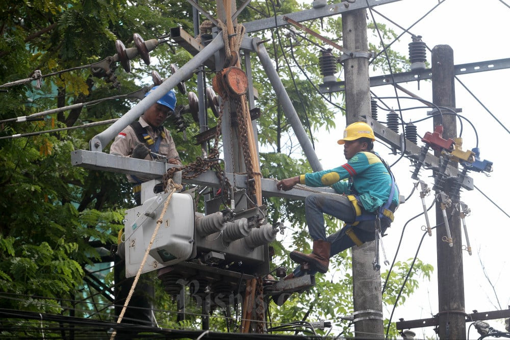  ESDM & PLN to Tackle TKDN-Related Renewable Plant Stagnations