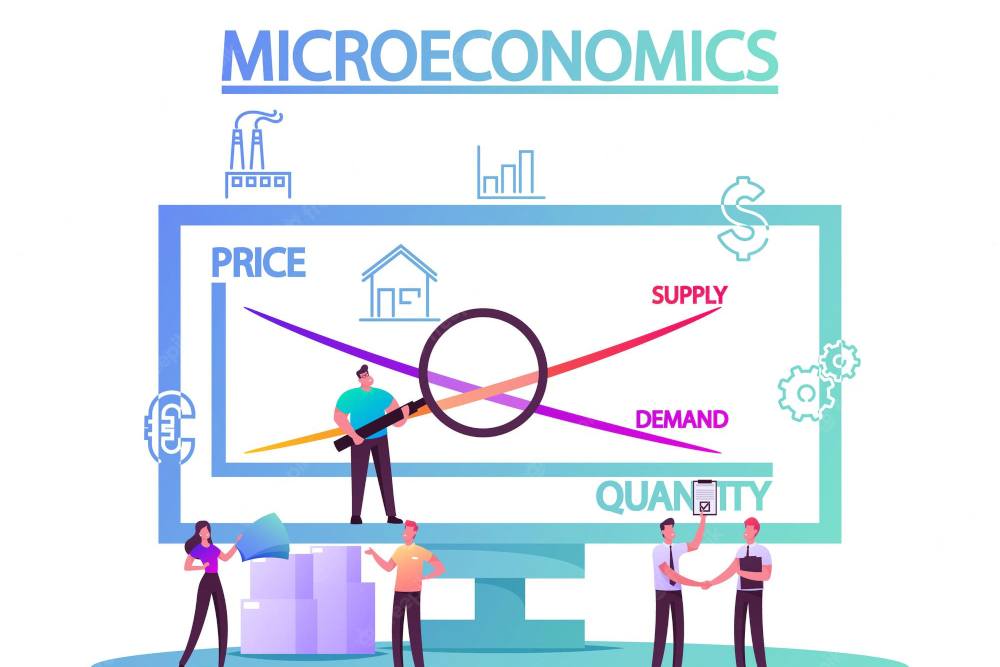 Mengurai Beberapa Aspek Penting Ekonomi Mikro dan Ekonomi Makro