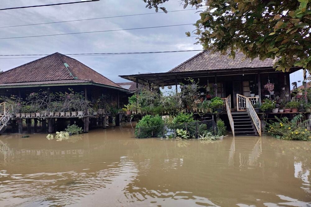  Banjir Jambi, 2.570 Hektare Lahan Pertanian Terdampak