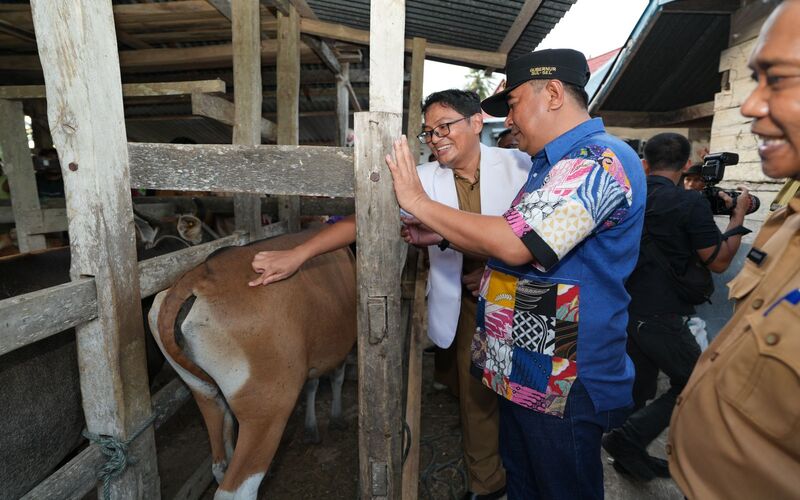 Pj Gubernur Sulsel Bahtiar Baharuddin (menggunakan topi) tengah mengunjungi peternakan warga di Kabupaten Bone, Sulsel./Pemprov Sulsel.