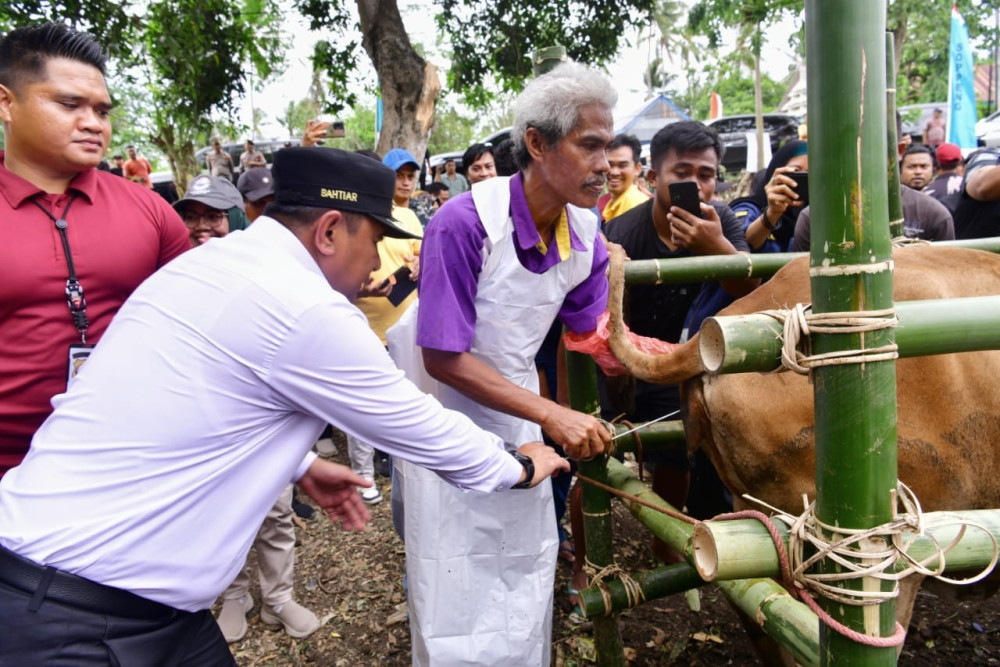 Pj Gubernur Sulsel Bahtiar Baharuddin (memakai topi) tengah meninjau peternakan warga di Kabupaten Soppeng./Pemprov Sulsel
