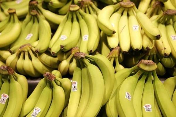 Pisang/Reuters