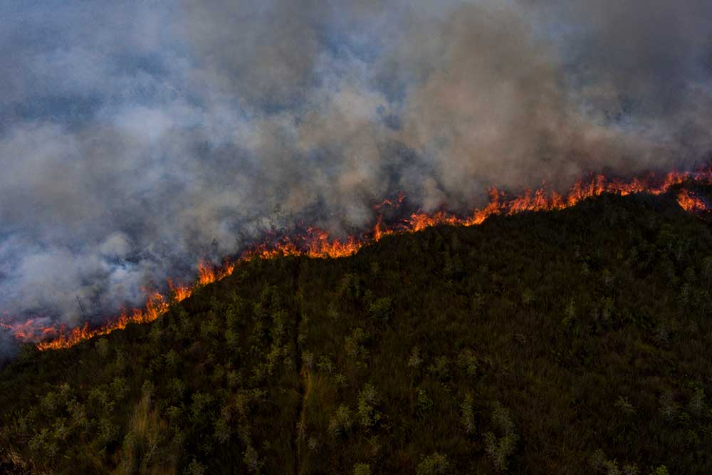 Foto udara api membakar lahan gambut di Pedamaran, Ogan Komering Ilir (OKI), Sumatera Selatan, Senin (18/9/2023). Balai Pengendalian Perubahan Iklim dan Kebakaran Hutan dan Lahan Wilayah Sumatera menerjunkan 9 regu Manggala Agni dari Daops OKI, Lahat, Muba, Banyuasin dan Jambi untuk melakukan pemadaman kebakaran lahan gambut di wilayah tersebut. ANTARA FOTO/Nova Wahyudi