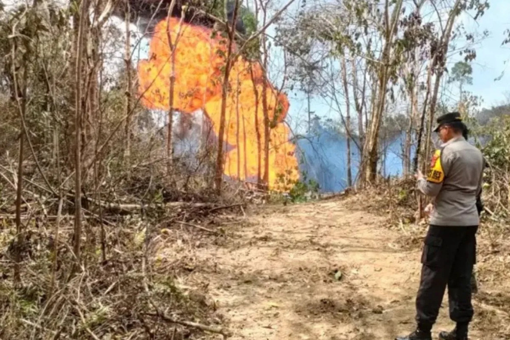 Kebakaran hutan terjadi di kawasan Tahura Senami Kabupaten Batanghari Jambi, Sabtu (10/2/2024)./Antara-Riski Apriyani.