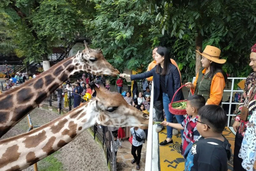  Kebun Binatang Surabaya Diapresiasi, Ini Keunikannya