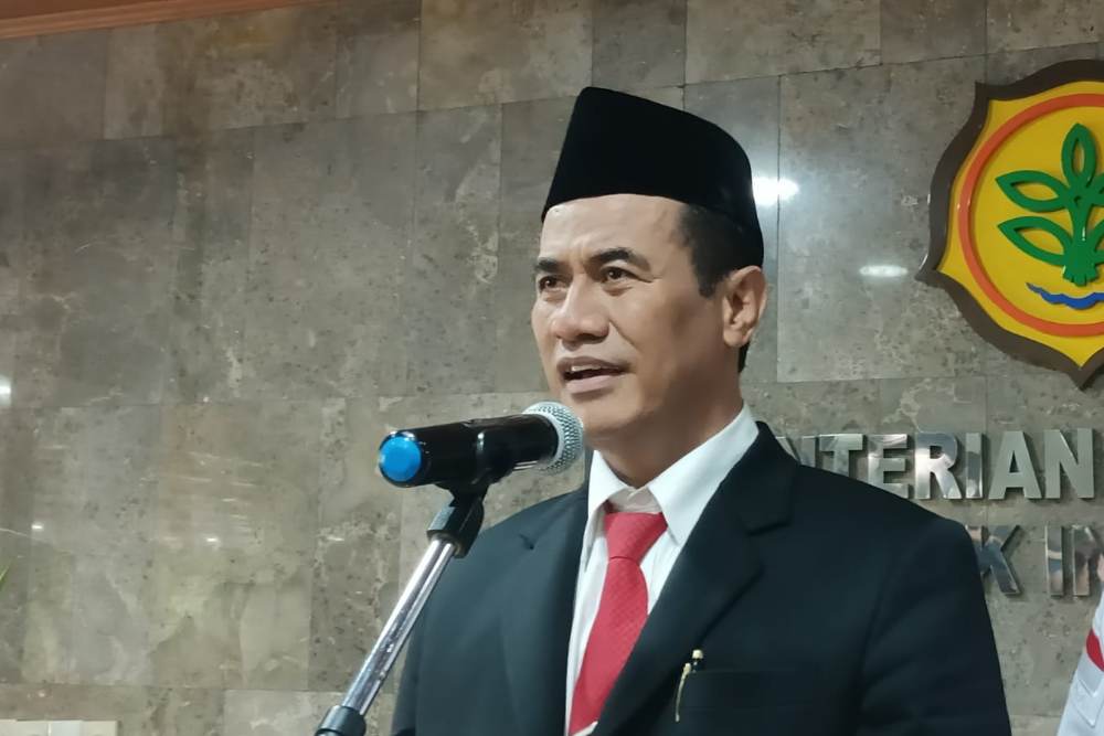  Harga Beras Melambung, Mentan Amran Janjikan Ini ke Jokowi