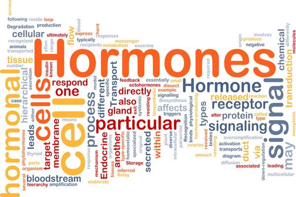  Simak 10 Makanan Penyeimbang Hormon Bagi Perempuan dan Laki-laki