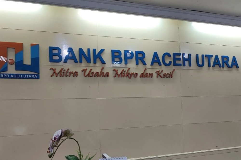 OJK Blak-blakan Ungkap Biang Kerok Bank Bangkrut di Aceh