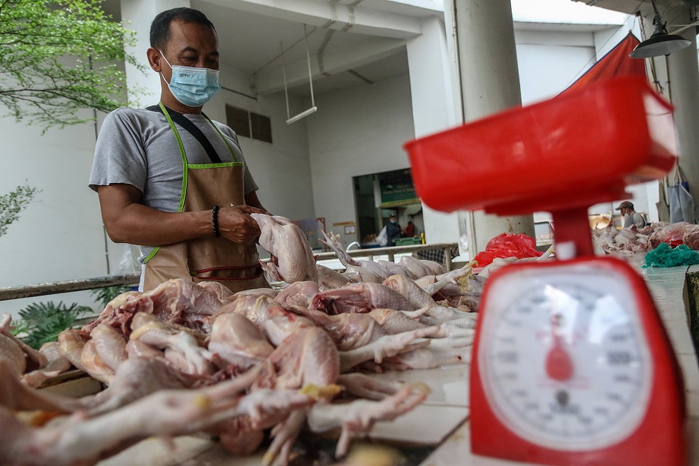  Jelang Ramadan, Harga Daging Ayam di Pekanbaru Masih Tinggi