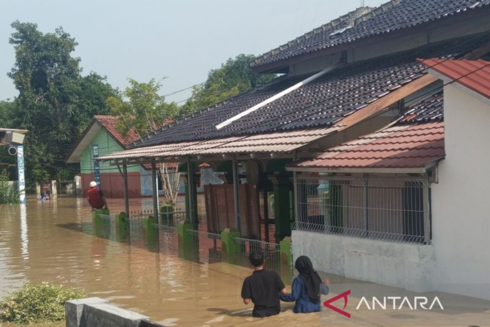  Petani Alami Kerugian Rp6,48 Miliar akibat Banjir Cirebon Timur